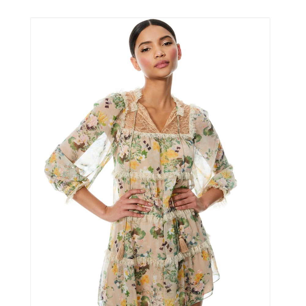 NWT Alice + Olivia Marcie Floral Mini Dress/ in Romance Almond.